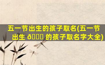 五一节出生的孩子取名(五一节出生 🐈 的孩子取名字大全)